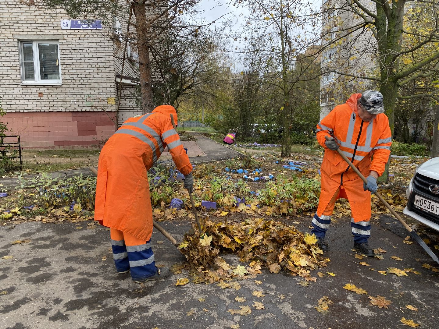 Листья, Осень, Уборка,