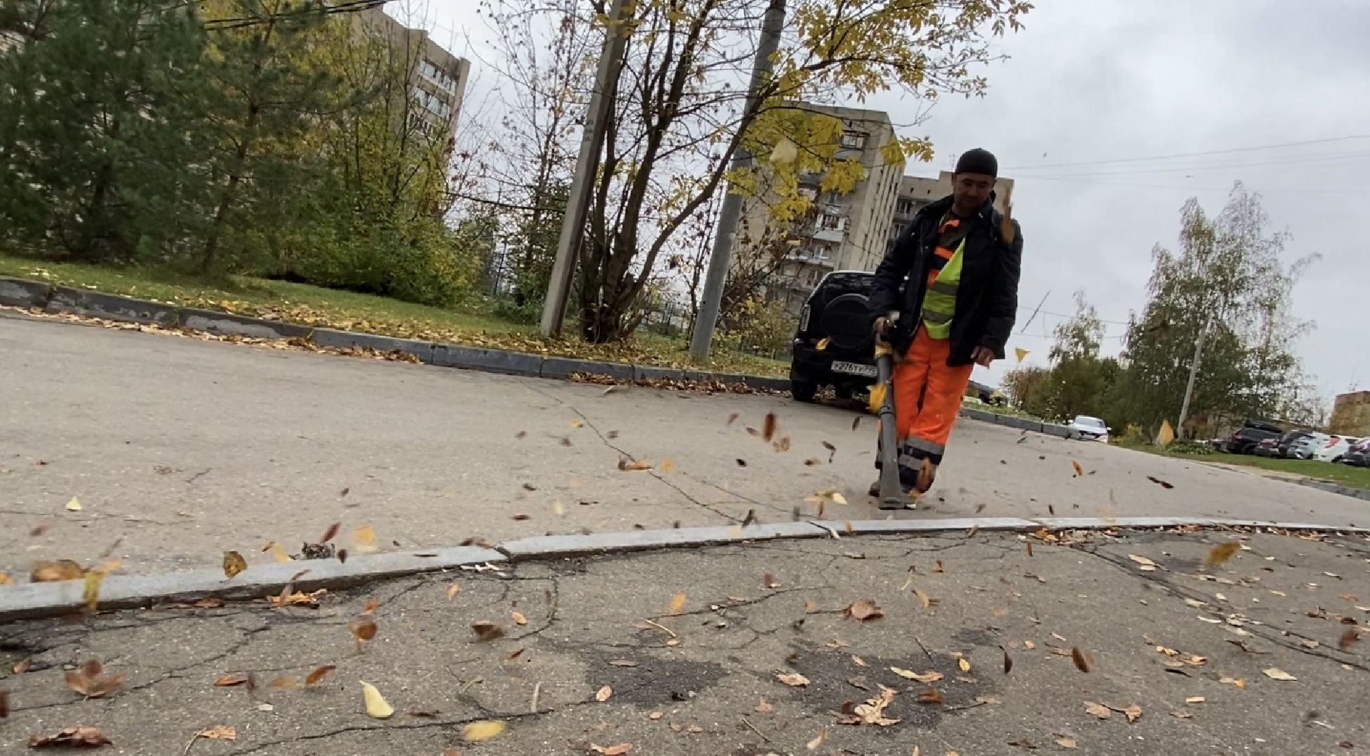 Листья, Осень, Уборка,