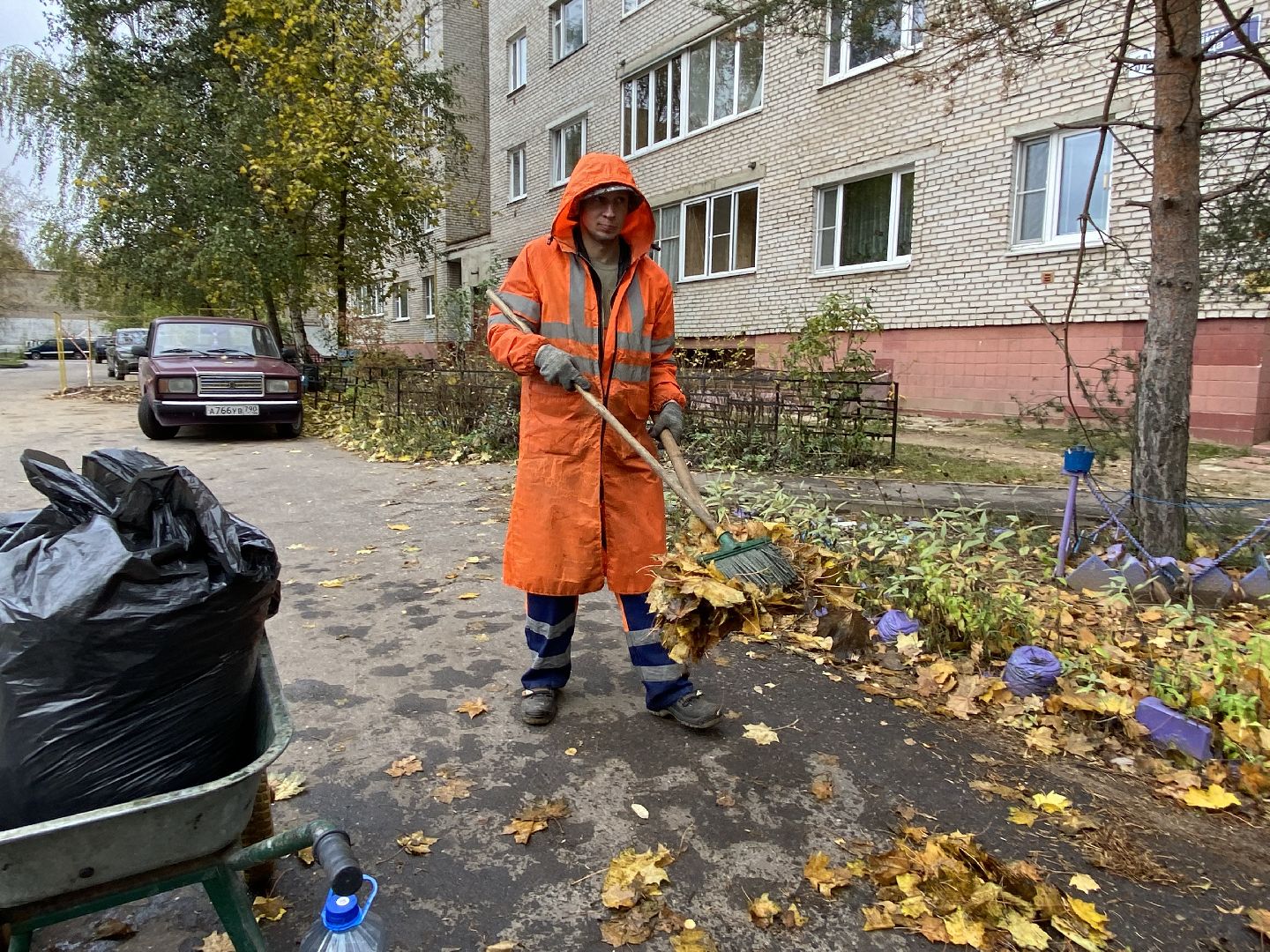 Листья, Осень, Уборка,