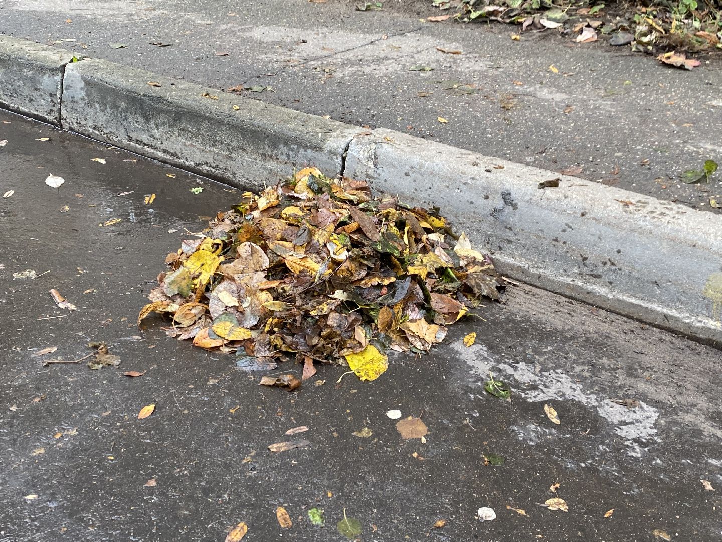 Листья, Осень, Уборка,