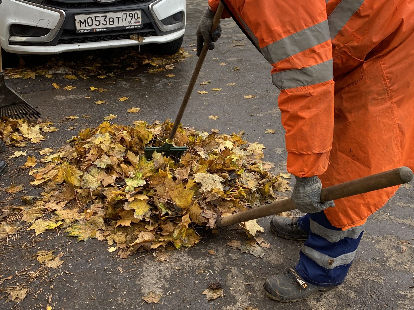 Листья, Осень, Уборка,