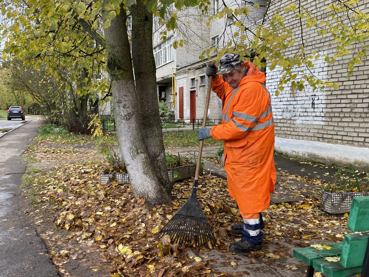 Листья, Осень, Уборка,