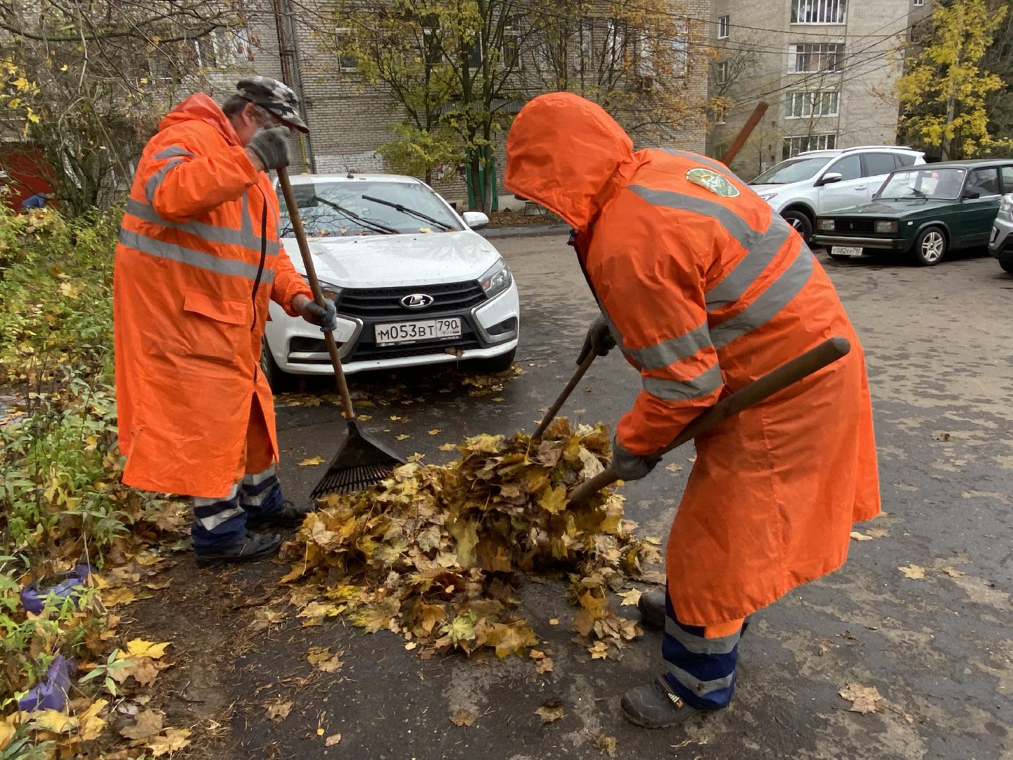 Листья, Осень, Уборка,