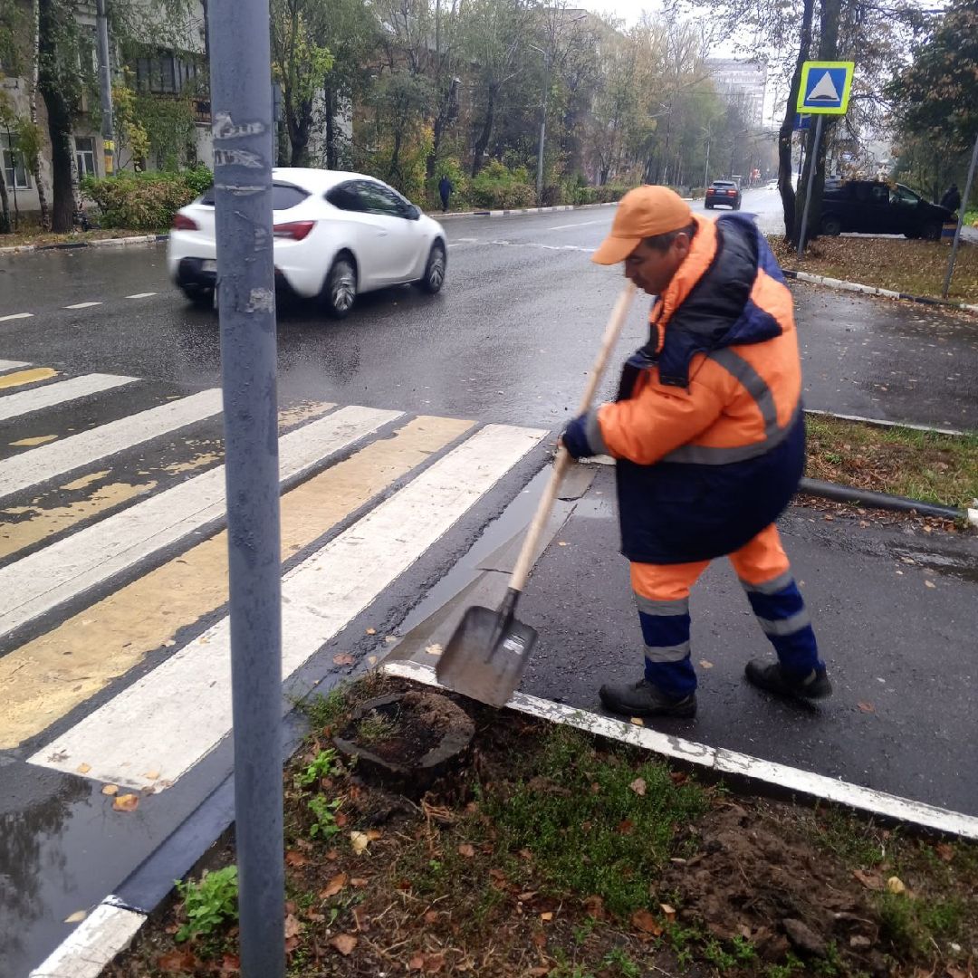 пушкино, добродел, пни, удаление деревьев, удаление сухостоя, благоустройство, заявка жителей,