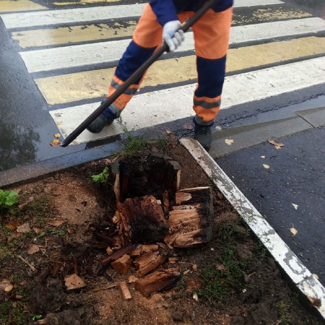 пушкино, добродел, пни, удаление деревьев, удаление сухостоя, благоустройство, заявка жителей,