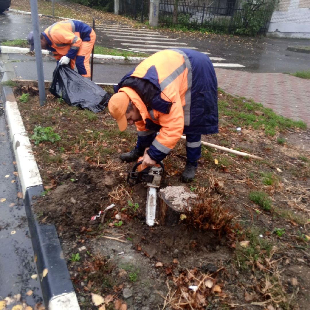 пушкино, добродел, пни, удаление деревьев, удаление сухостоя, благоустройство, заявка жителей,