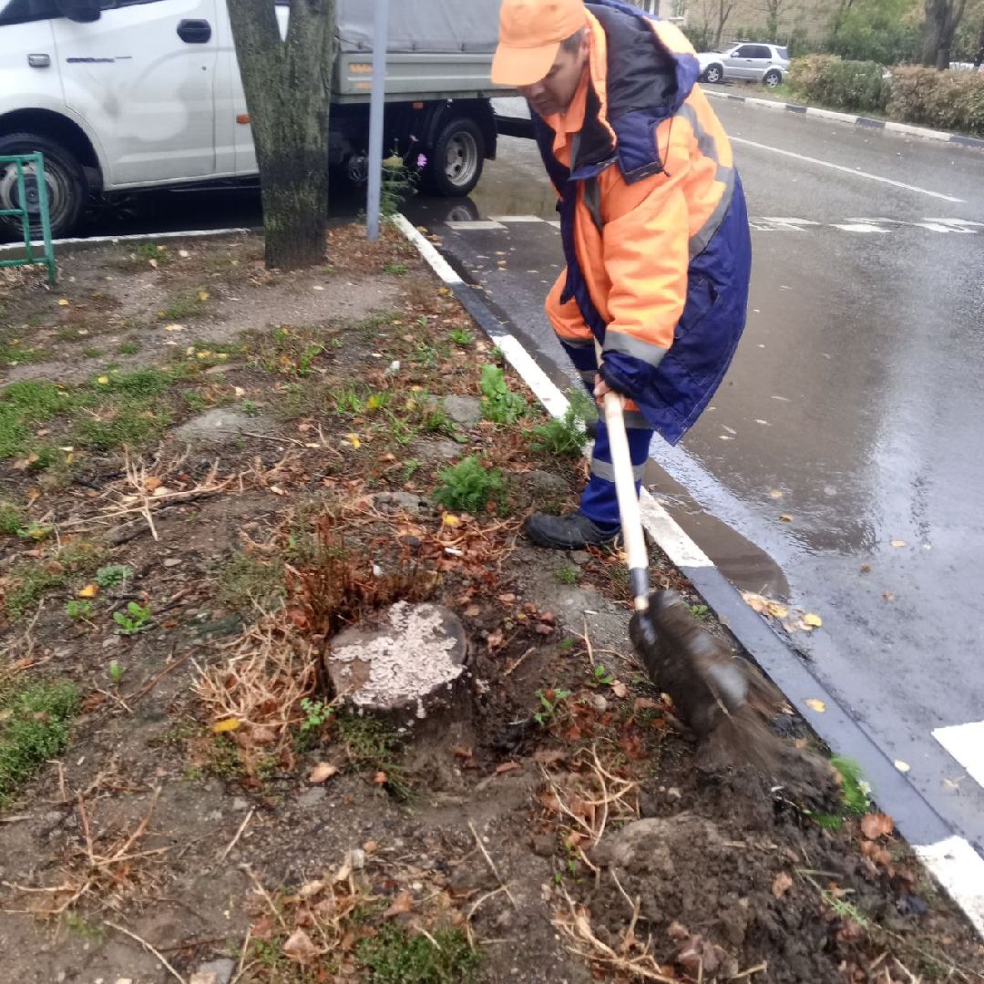 пушкино, добродел, пни, удаление деревьев, удаление сухостоя, благоустройство, заявка жителей,