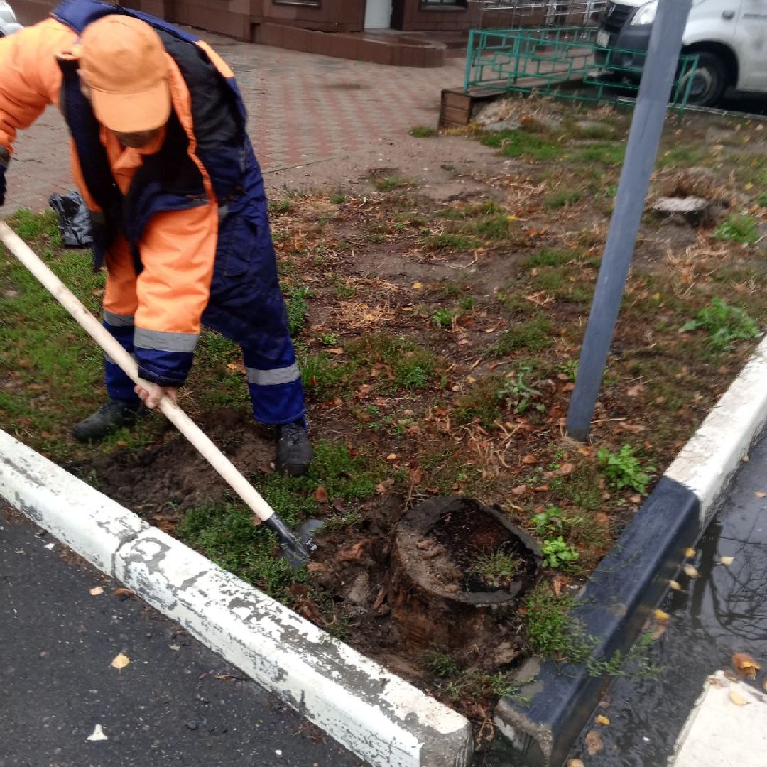 пушкино, добродел, пни, удаление деревьев, удаление сухостоя, благоустройство, заявка жителей,