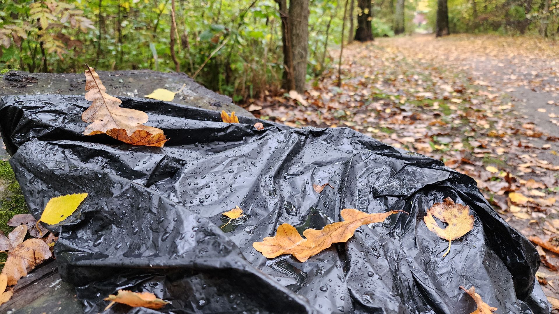 кашира, берёзовая роща, субботник, выездная администрация,