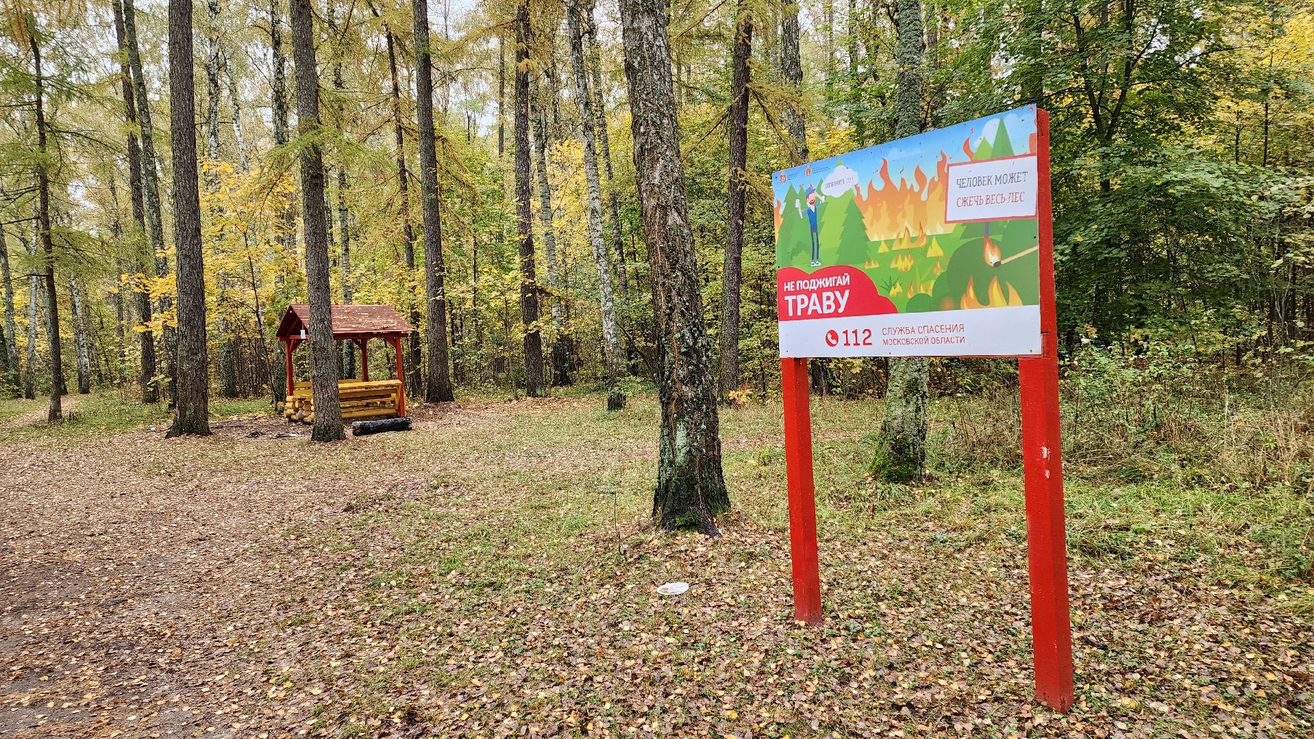 кашира, берёзовая роща, субботник, выездная администрация,