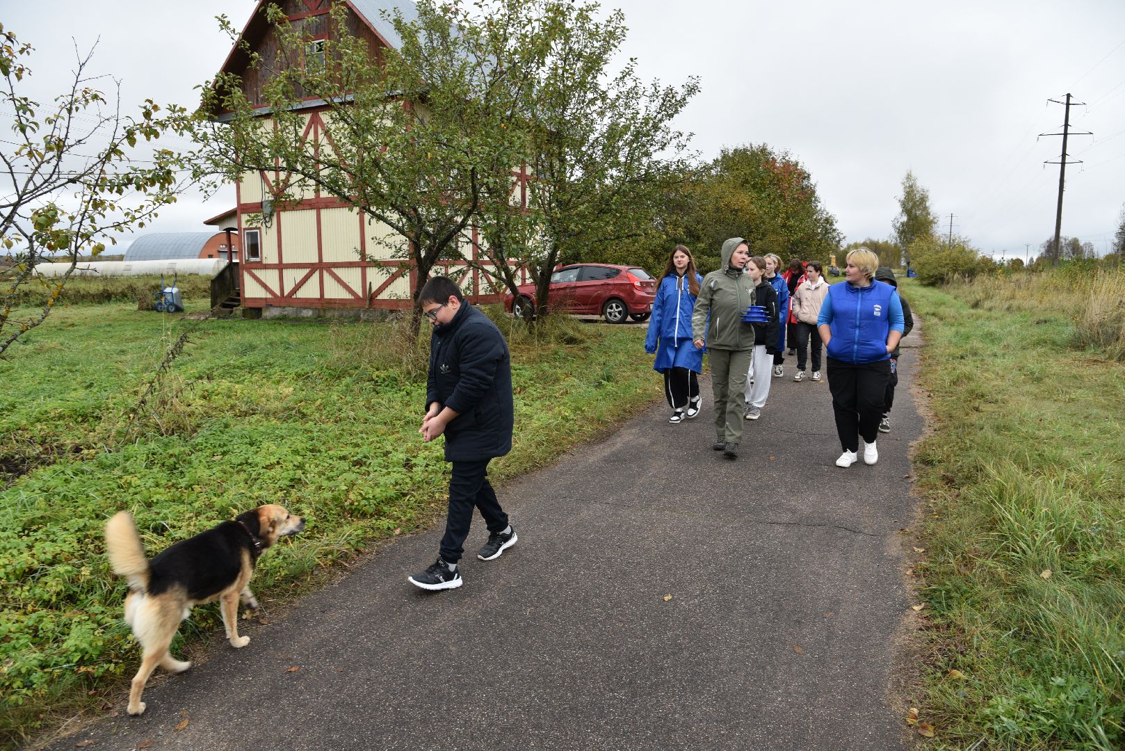 лотошино, собаки, дети, животные,