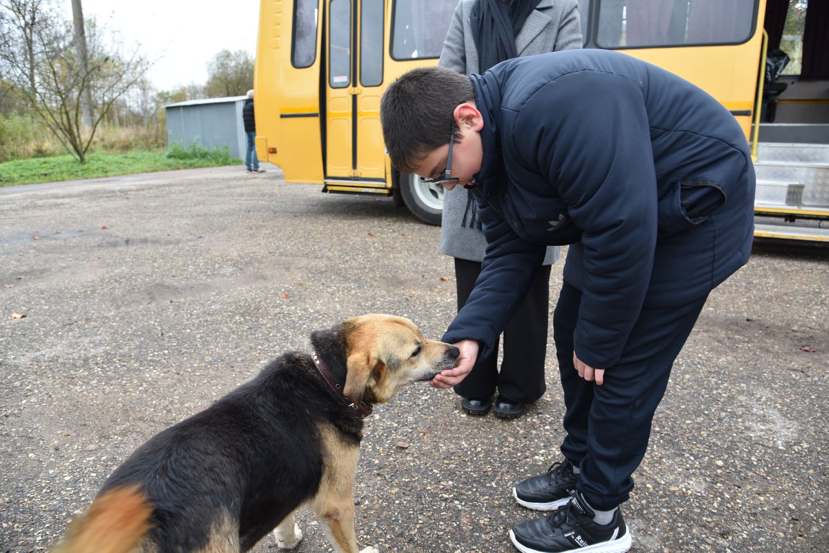 лотошино, собаки, дети, животные,