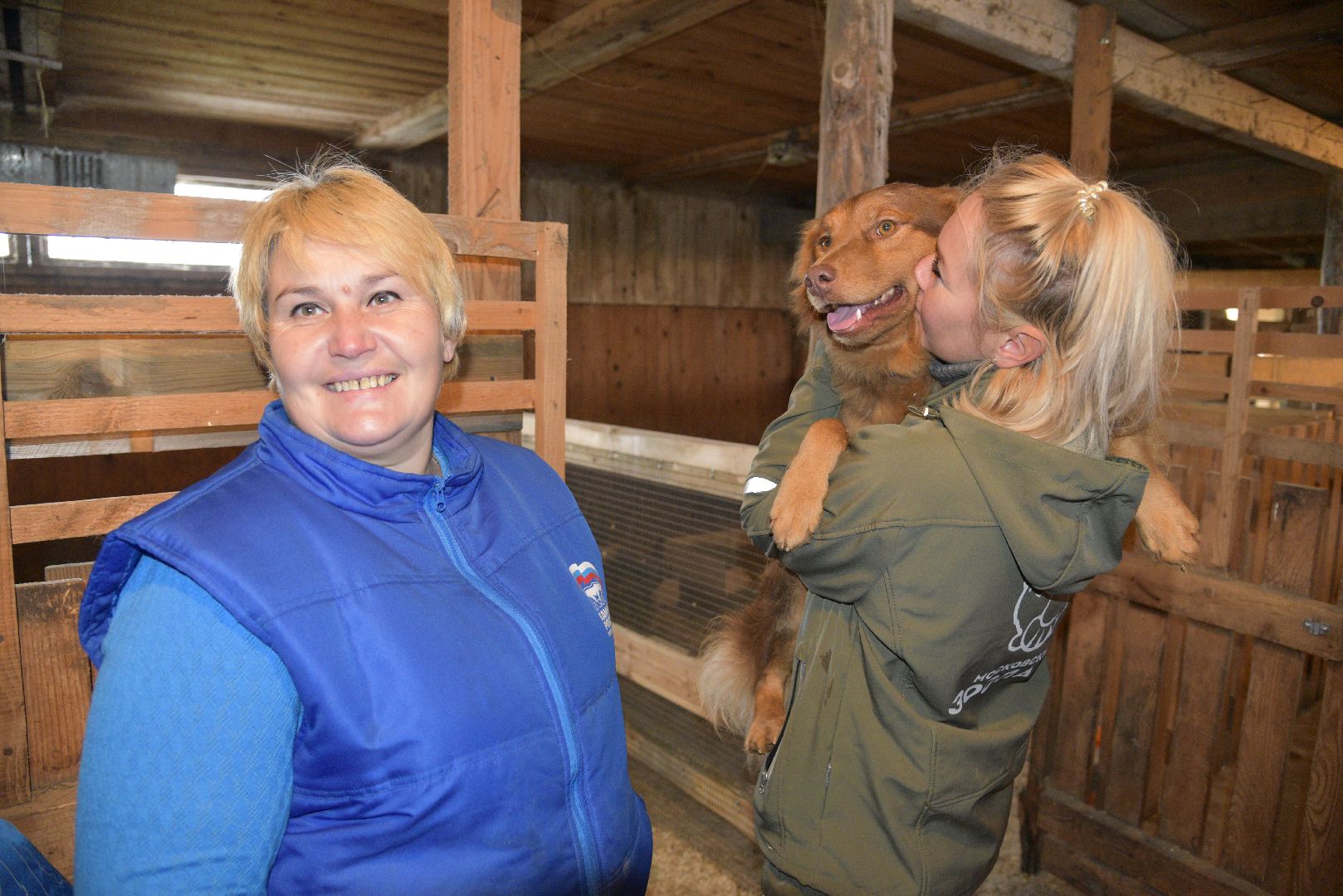 лотошино, собаки, дети, животные,