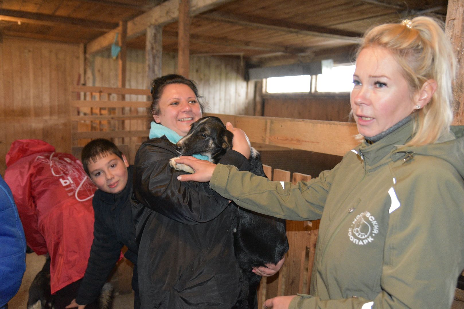 лотошино, собаки, дети, животные,