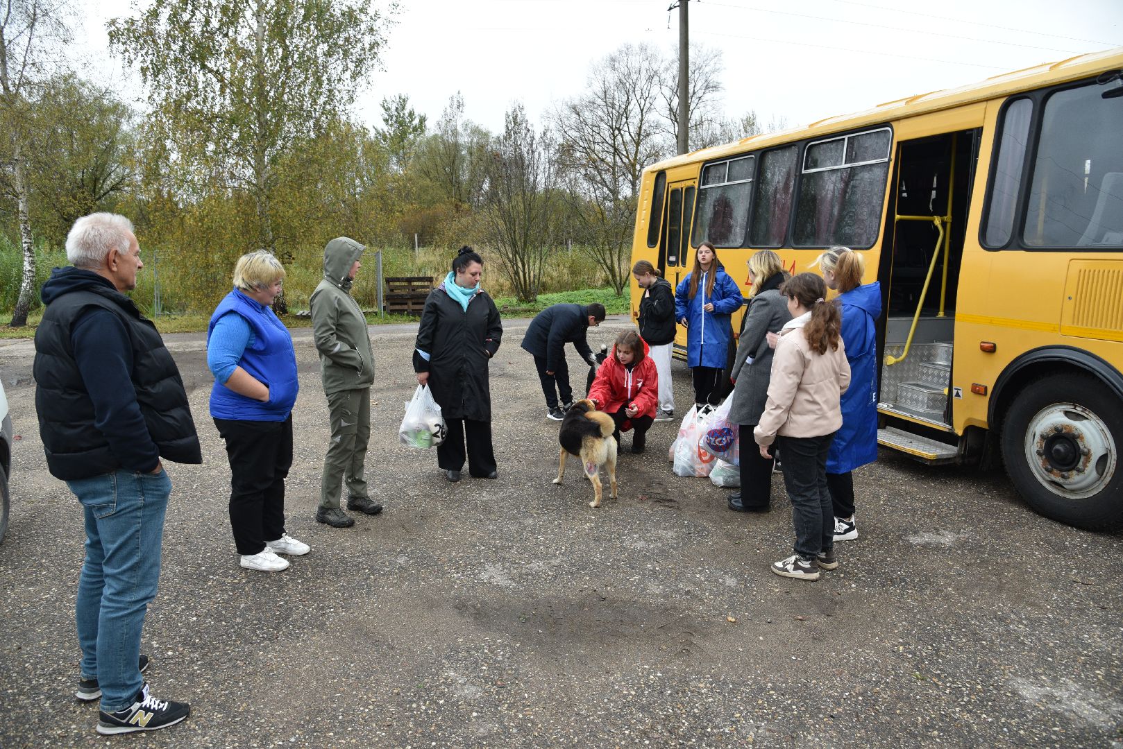 лотошино, собаки, дети, животные,