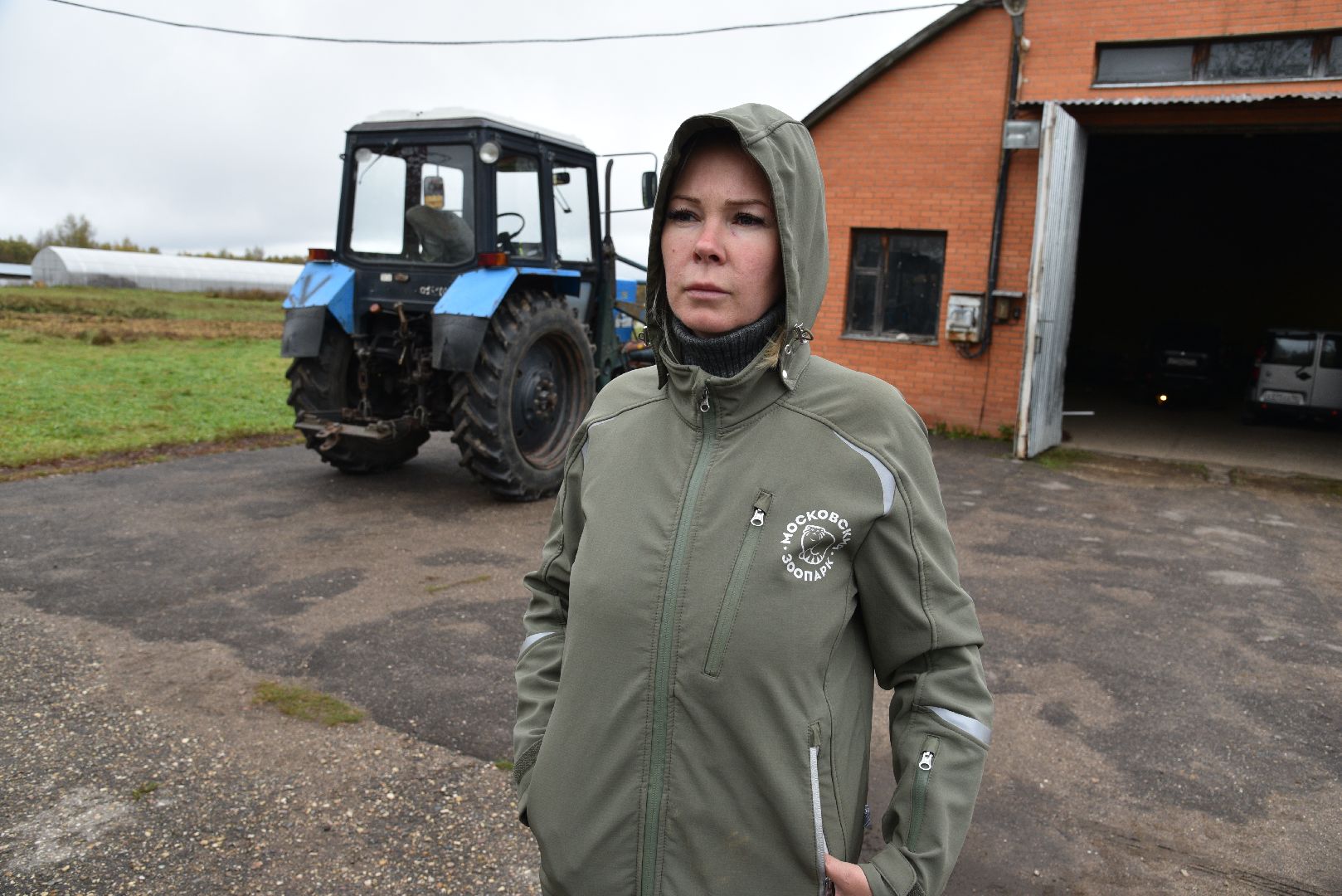 лотошино, собаки, дети, животные,