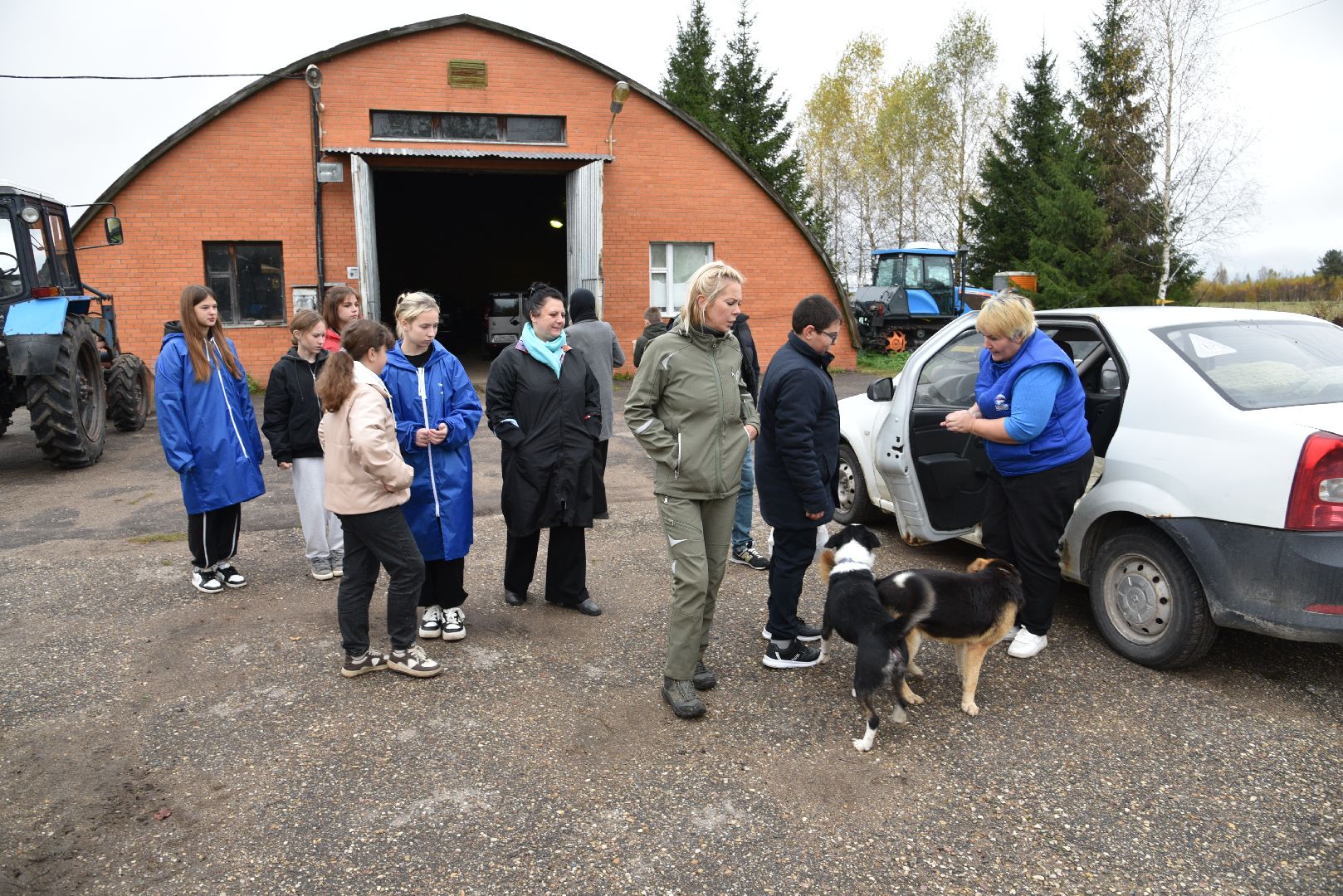 лотошино, собаки, дети, животные,