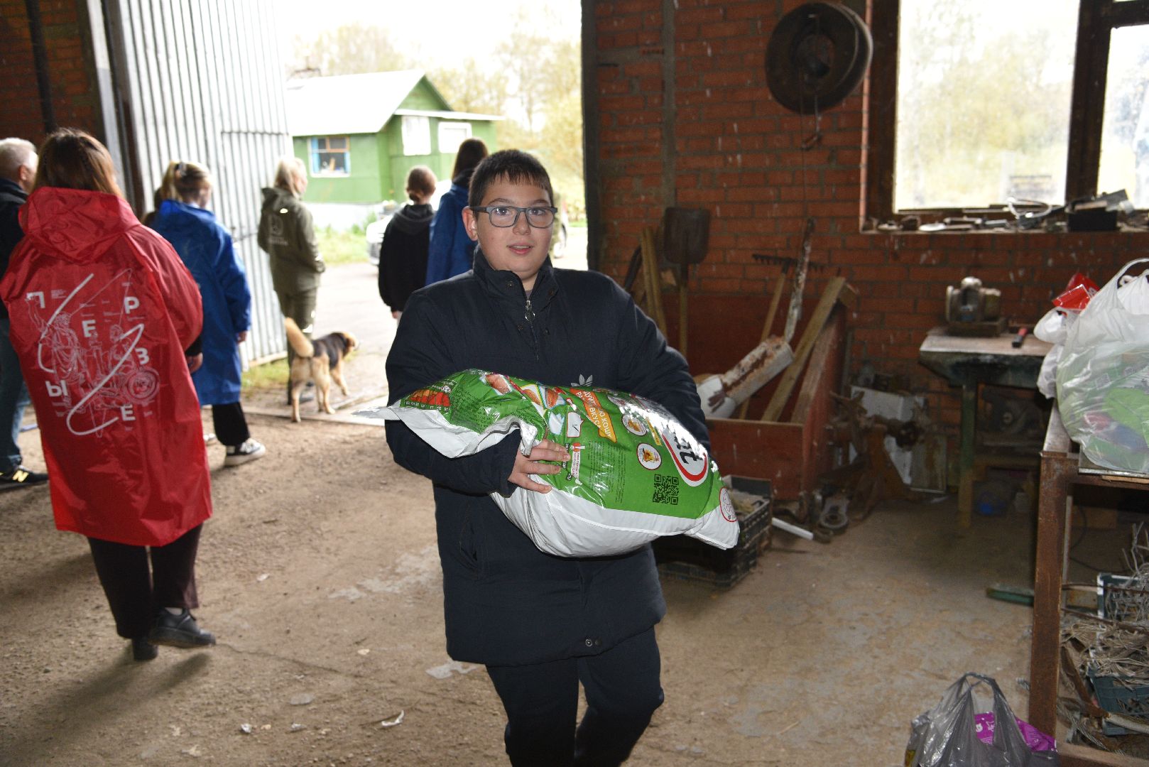 лотошино, собаки, дети, животные,