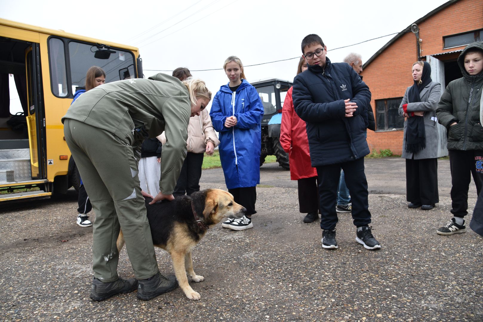 лотошино, собаки, дети, животные,