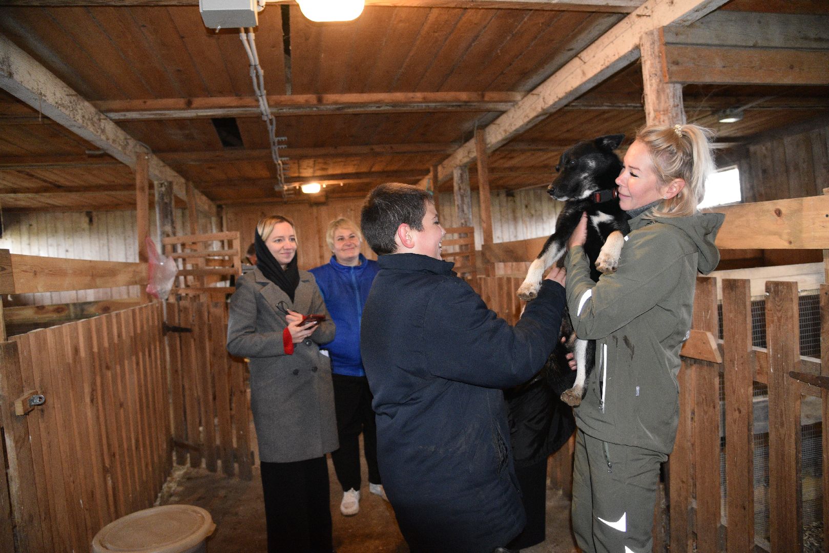 лотошино, собаки, дети, животные,