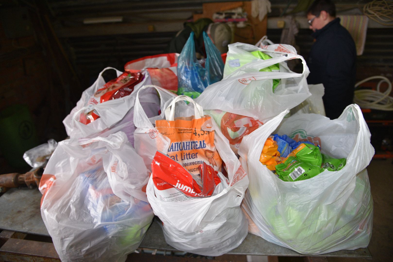 лотошино, собаки, дети, животные,