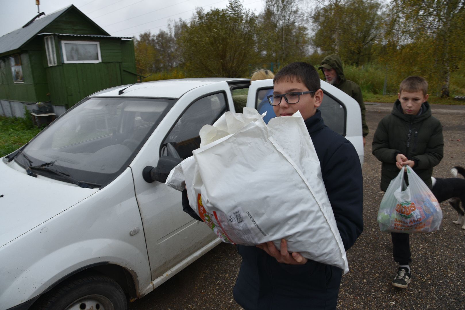 лотошино, собаки, дети, животные,