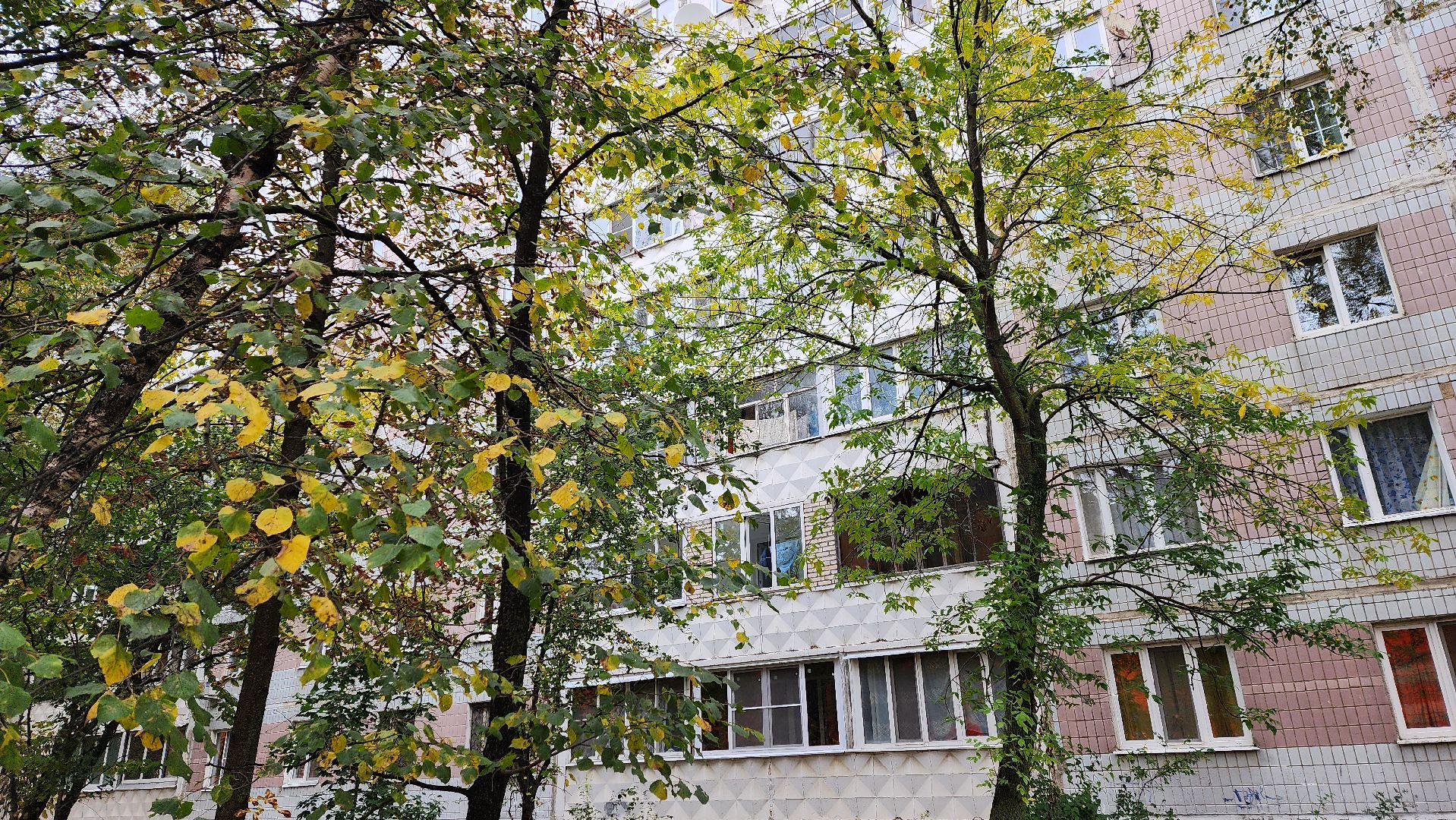 солнечногорск, Уборка территории, добродел, Микрорайон Рекинцо,