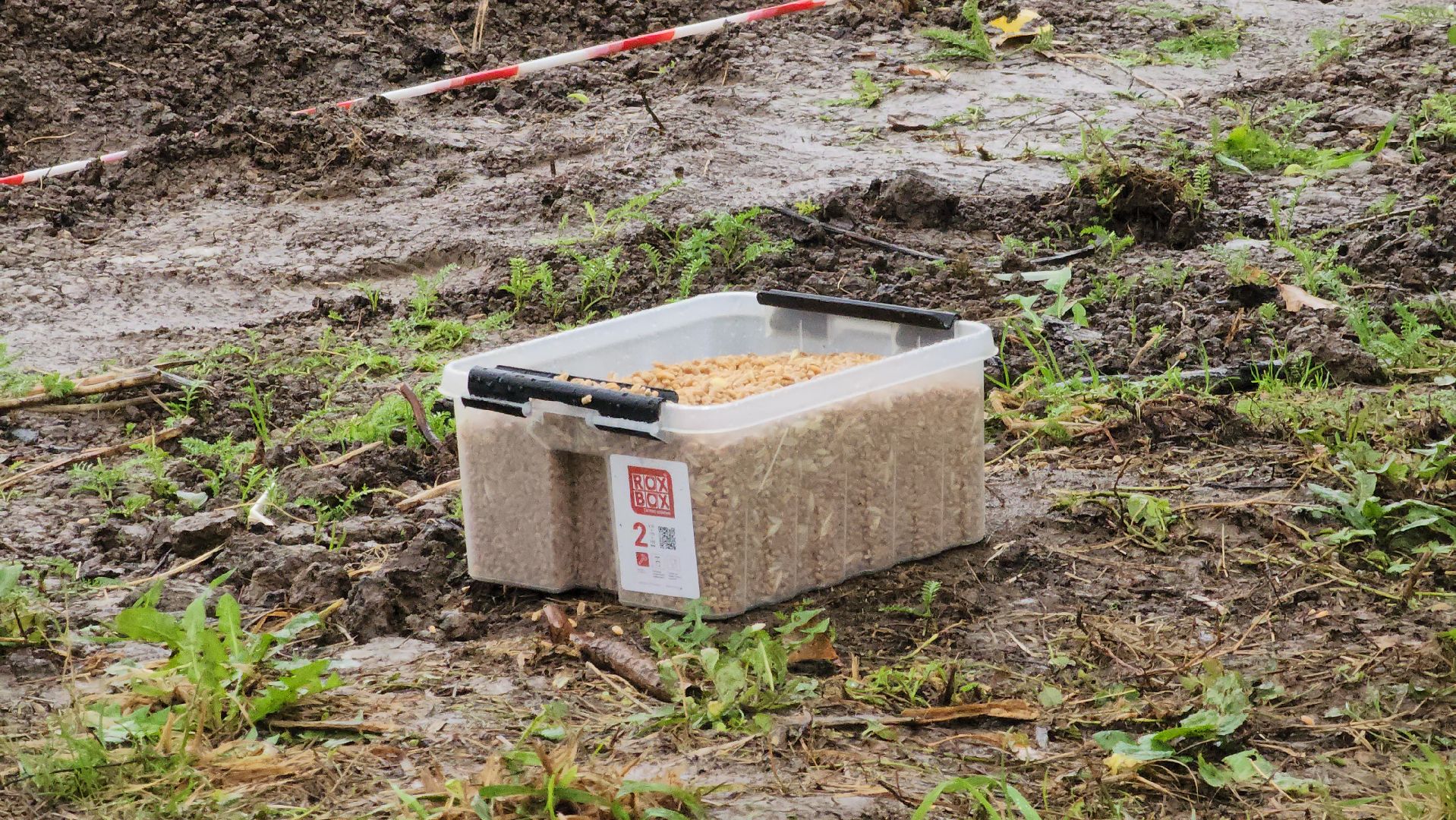 ступино, образование в подмосковье, агроклассы,