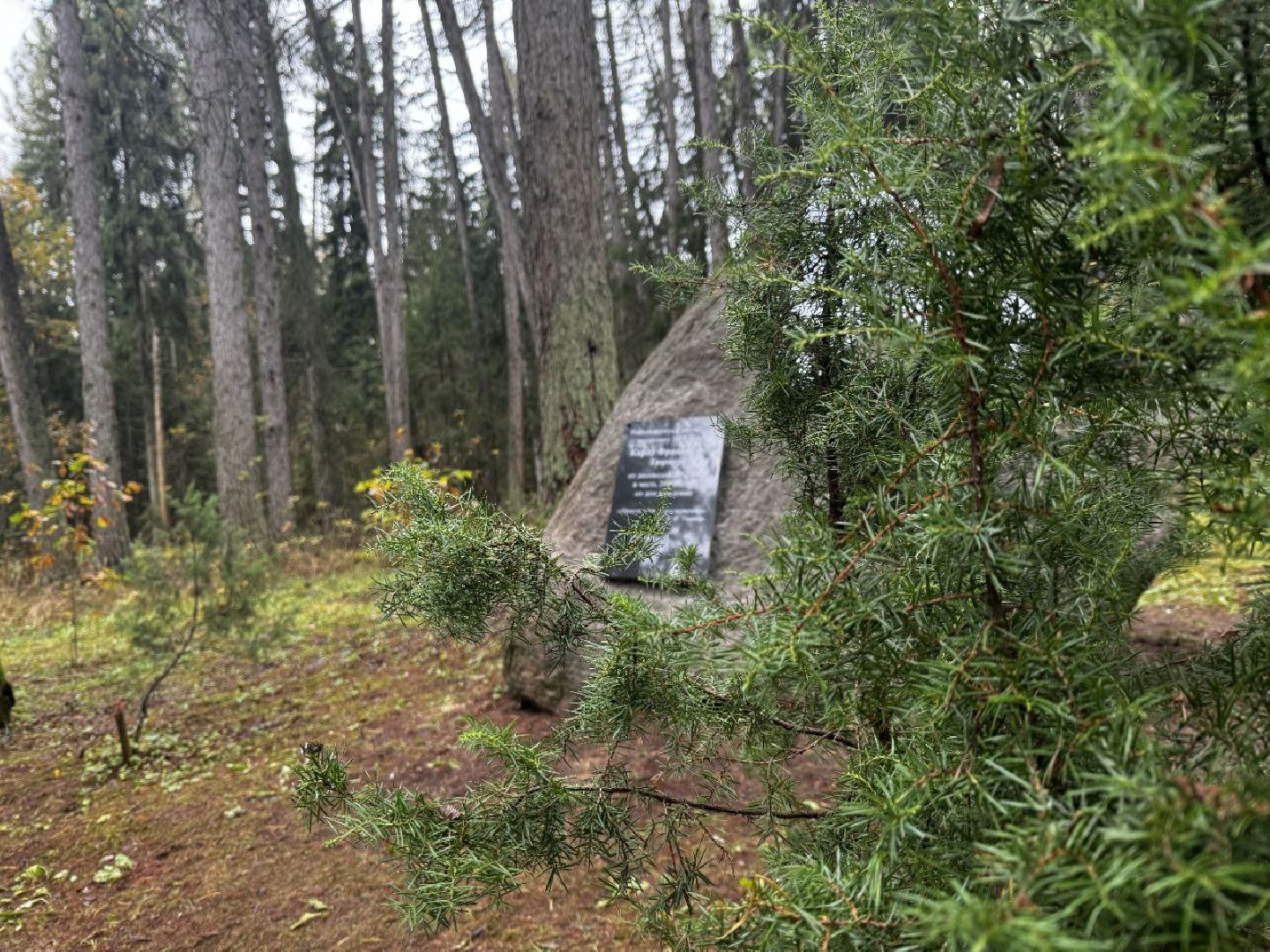 можайск, можайский городской округ, карл тюрмер, лесничий, лесное хозяйство, памятник, тюрмеровский лес, передовые методы лесопользования,восстановление лесов,
