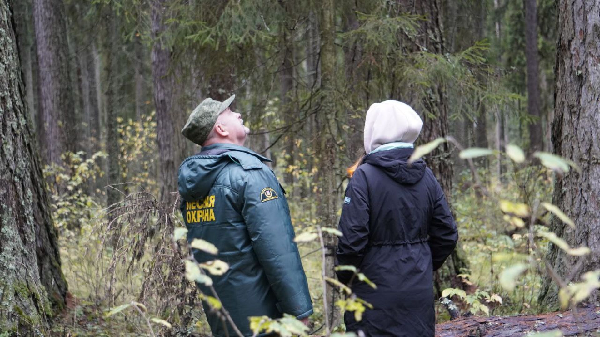 можайск, можайский городской округ, карл тюрмер, лесничий, лесное хозяйство, памятник, тюрмеровский лес, передовые методы лесопользования,восстановление лесов,