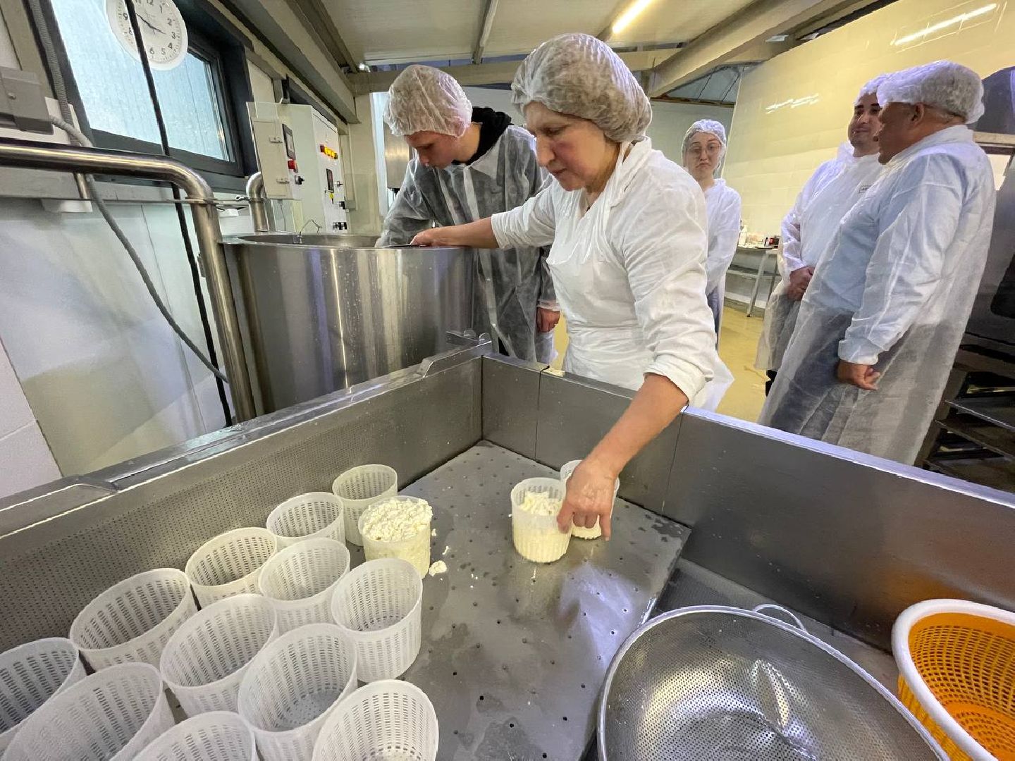 Дмитров, КФХ Свободный труд, Рамиль Булатов, Минсельхоз,