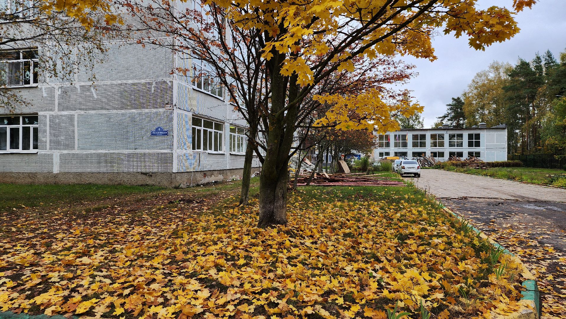 капитальный ремонт, ремонт школы, образование, поселок Зеленый, Богородский городской округ,