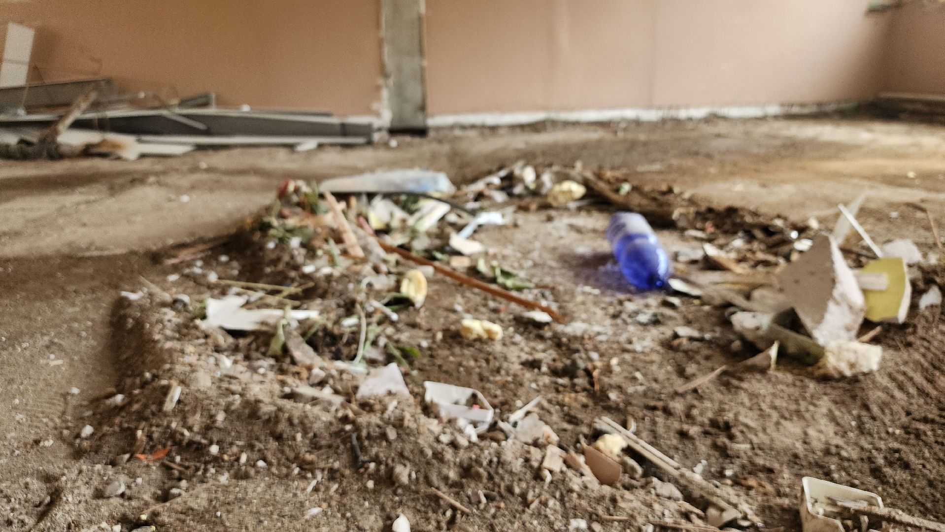 капитальный ремонт, ремонт школы, образование, поселок Зеленый, Богородский городской округ,