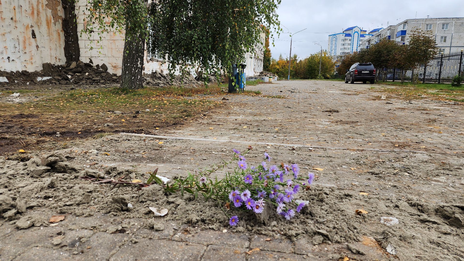 капитальный ремонт, ремонт школы, центр образования, поселок Обухово, Богородский городской округ,