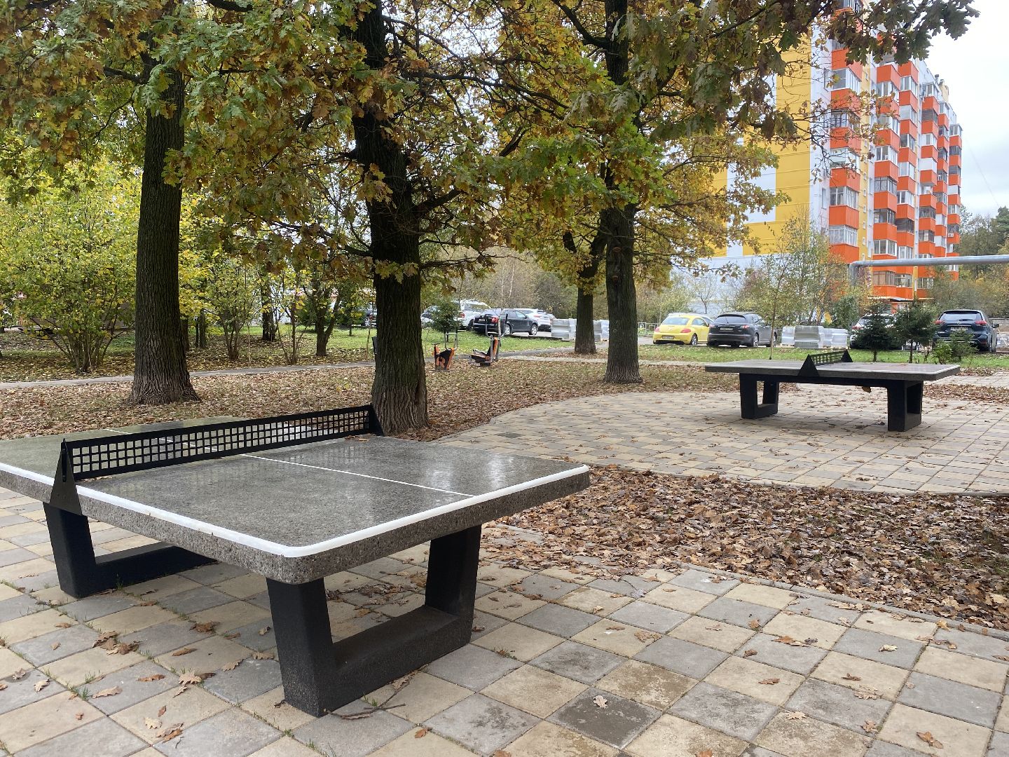 теннисный стол, спорт во дворе, спорт во власихе, установка теннисного стола, занятия спортом,