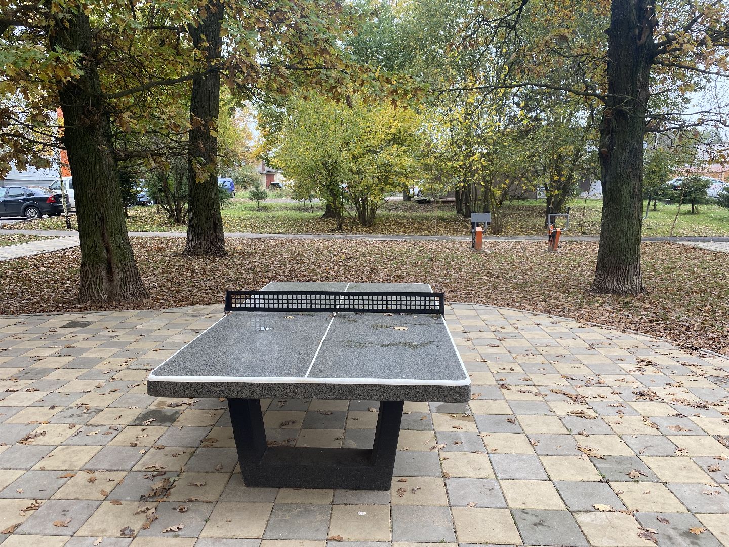 теннисный стол, спорт во дворе, спорт во власихе, установка теннисного стола, занятия спортом,