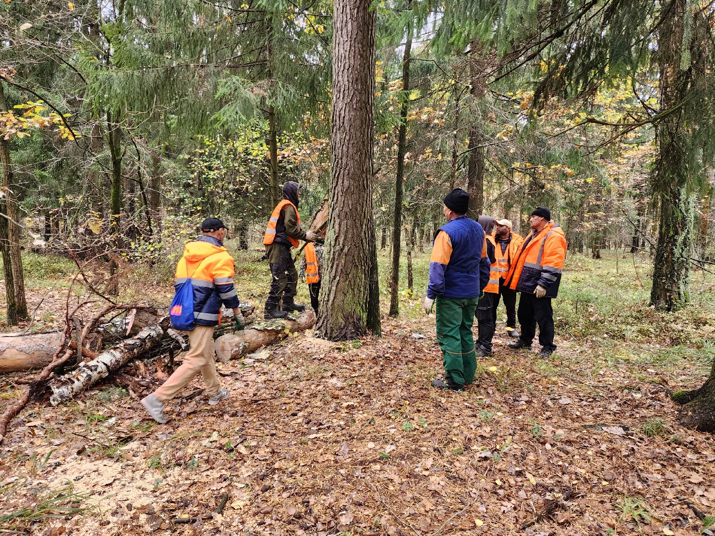 раменское, экология, чистый лес, кратово,