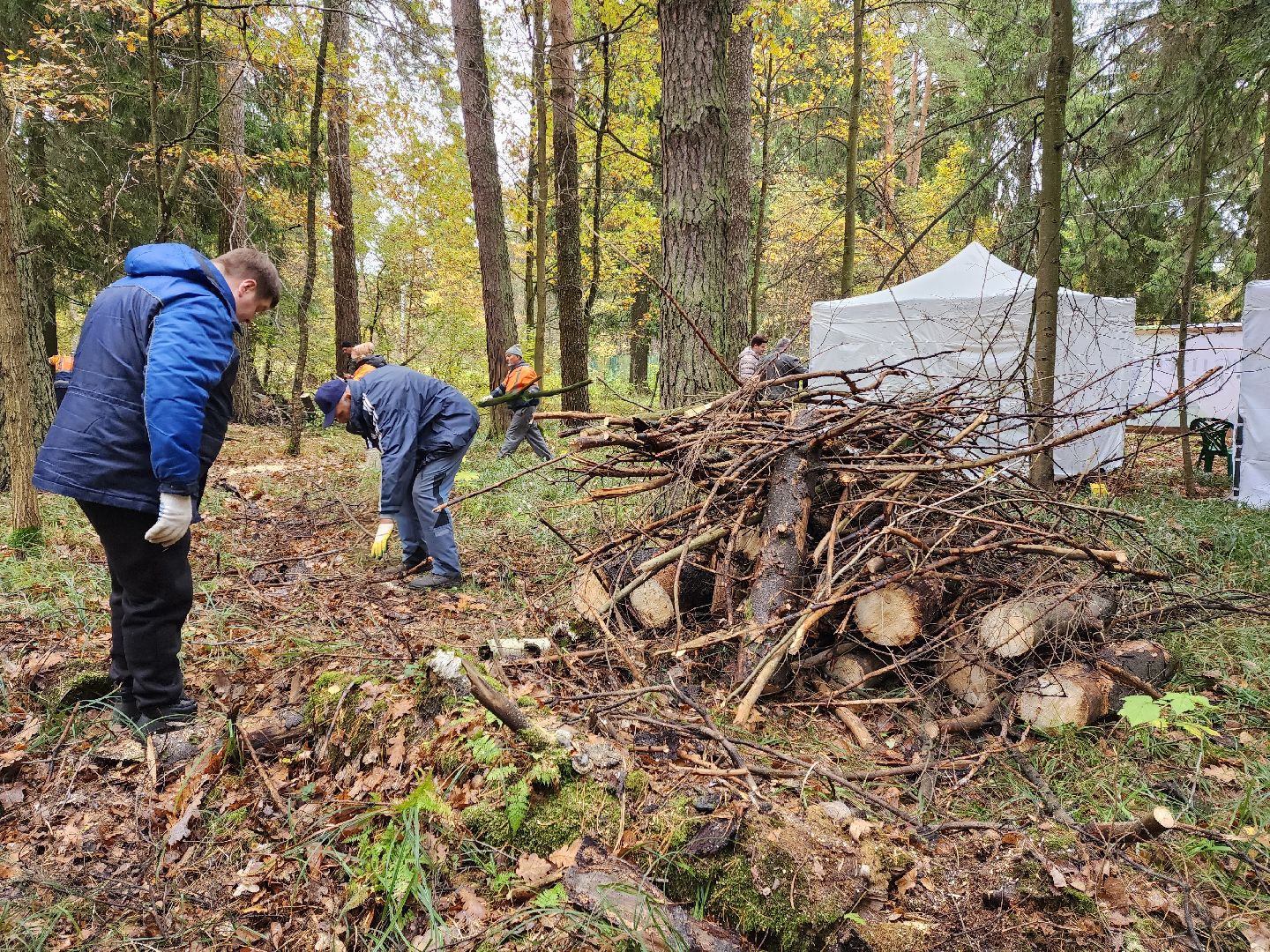 раменское, экология, чистый лес, кратово,