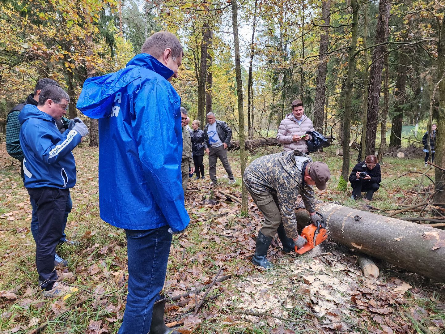 раменское, экология, чистый лес, кратово,