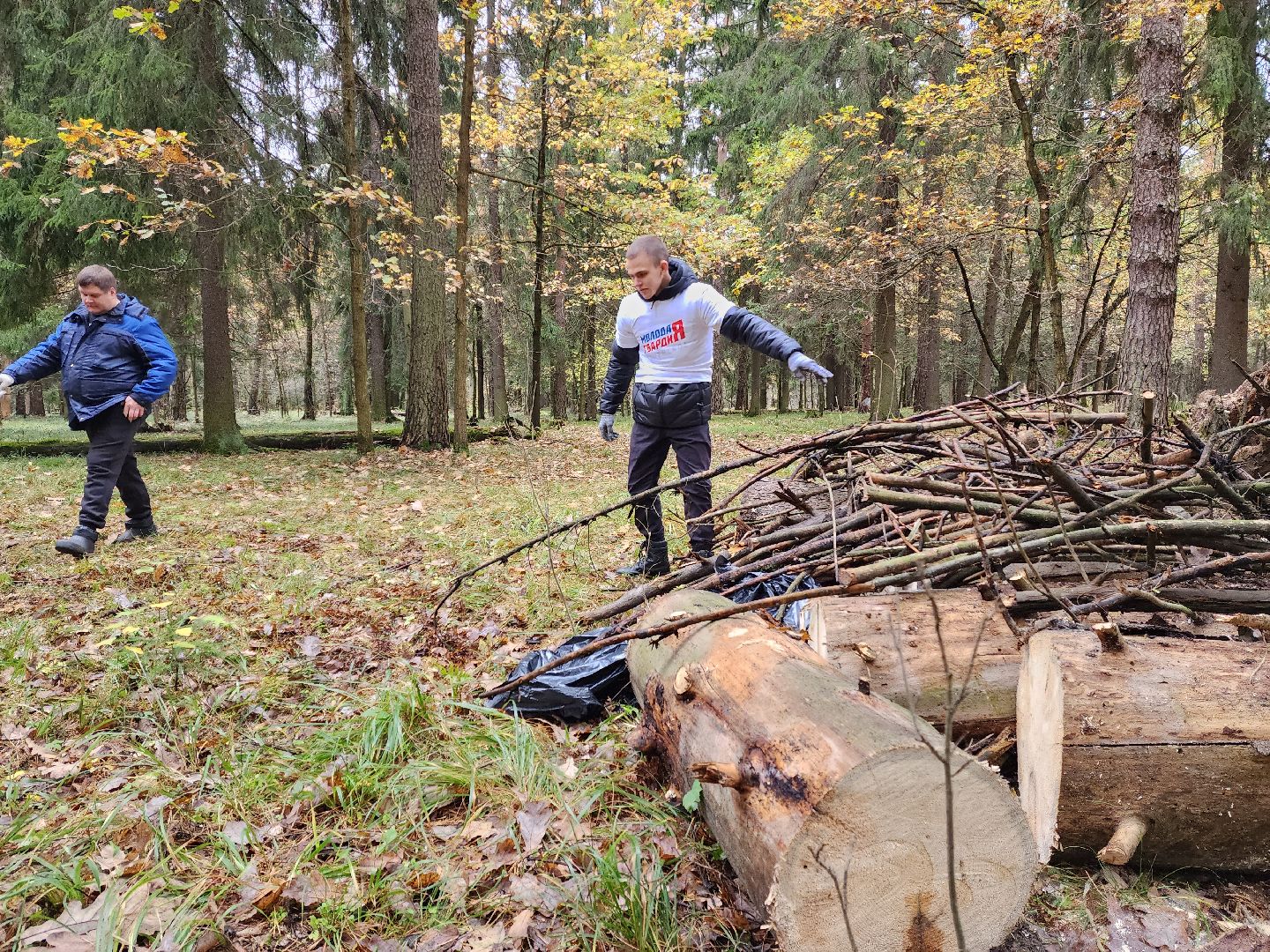 раменское, экология, чистый лес, кратово,