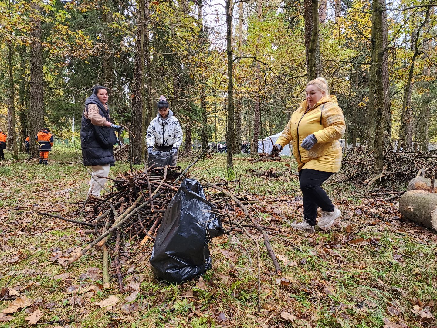 раменское, экология, чистый лес, кратово,