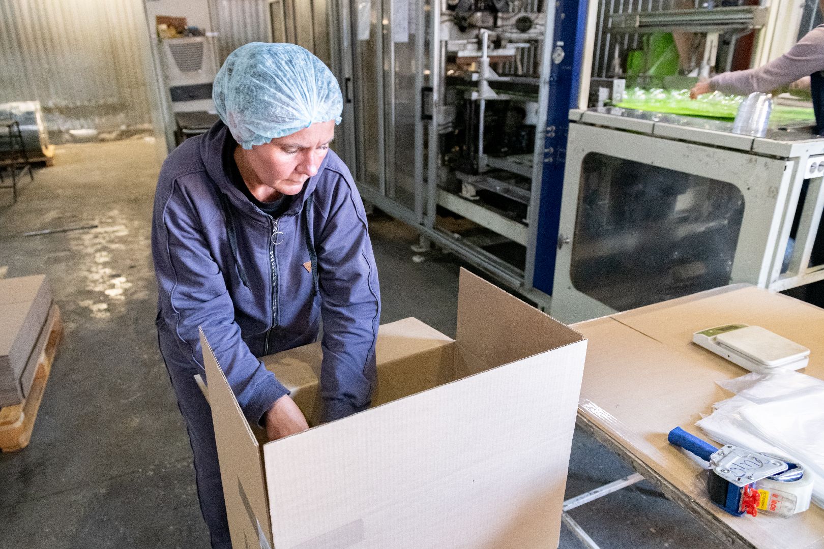 лыткарино, экономика, упаков, предприятие,