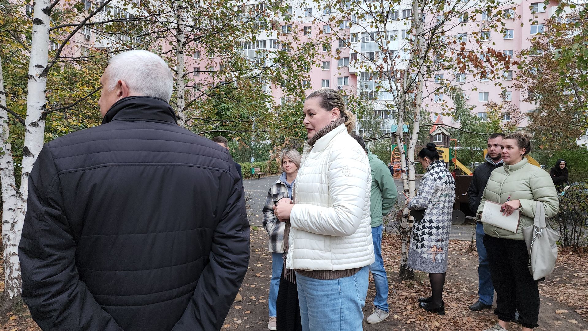 котельники, благоустройство, ремонт, озеленение,