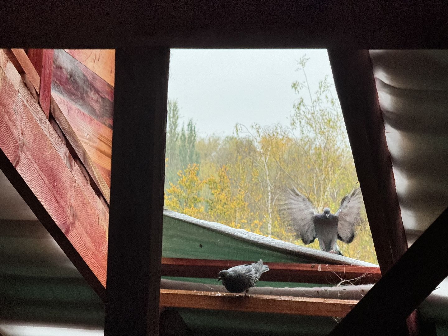 шаховская, ремонт кровли, строителтство, фонд капитального ремонта,