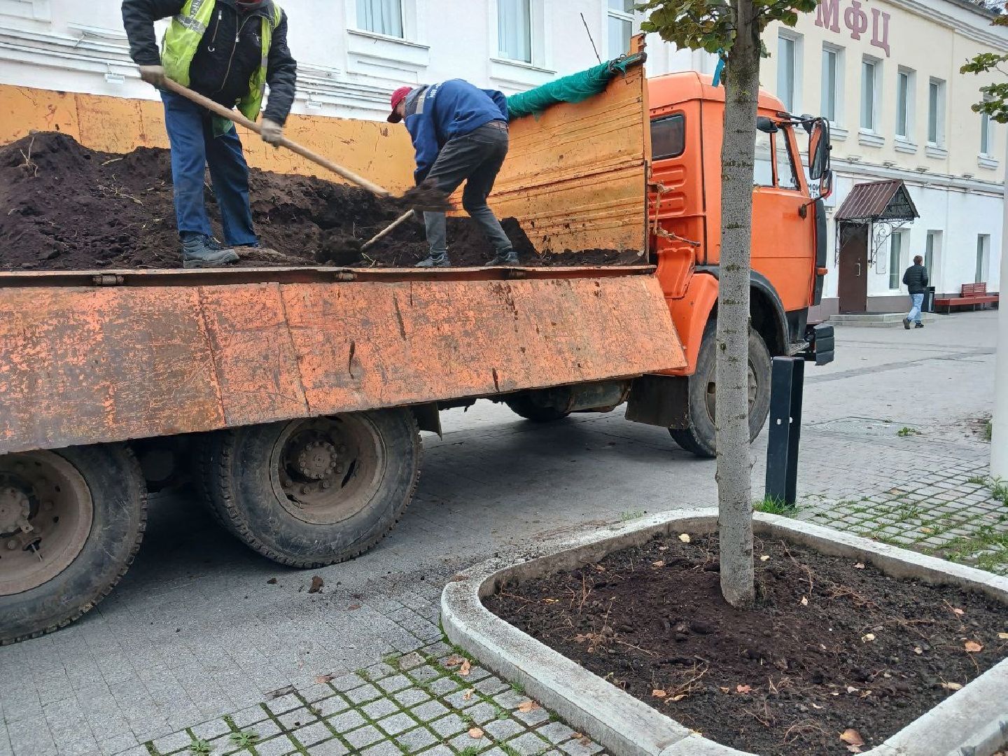 Клумбы, Почва, Цветы,