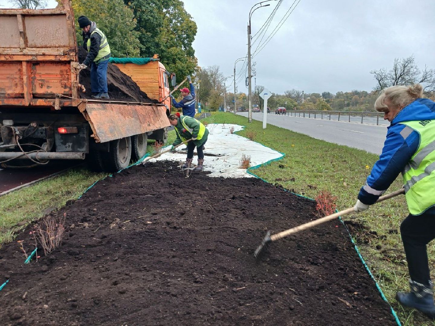 Клумбы, Почва, Цветы,