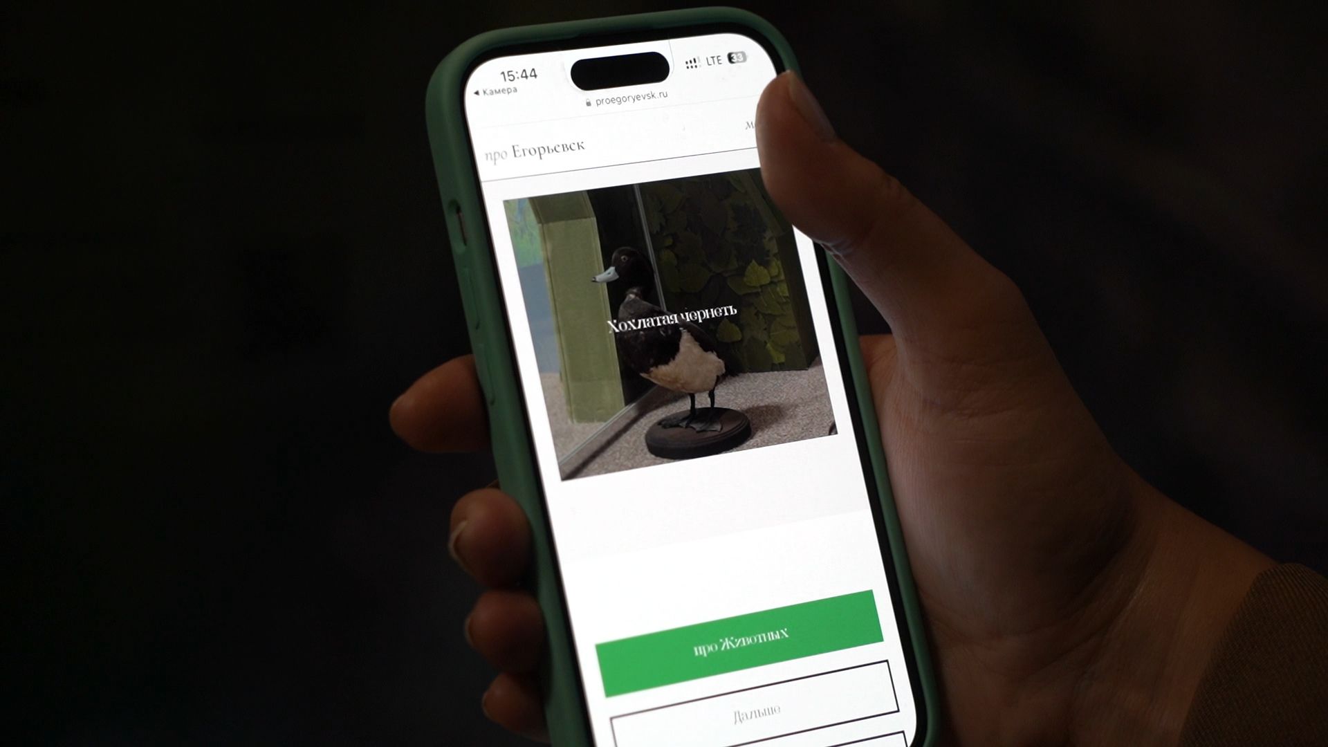 Егорьевск, музей, конкурс, Подмосковье, Московская область,