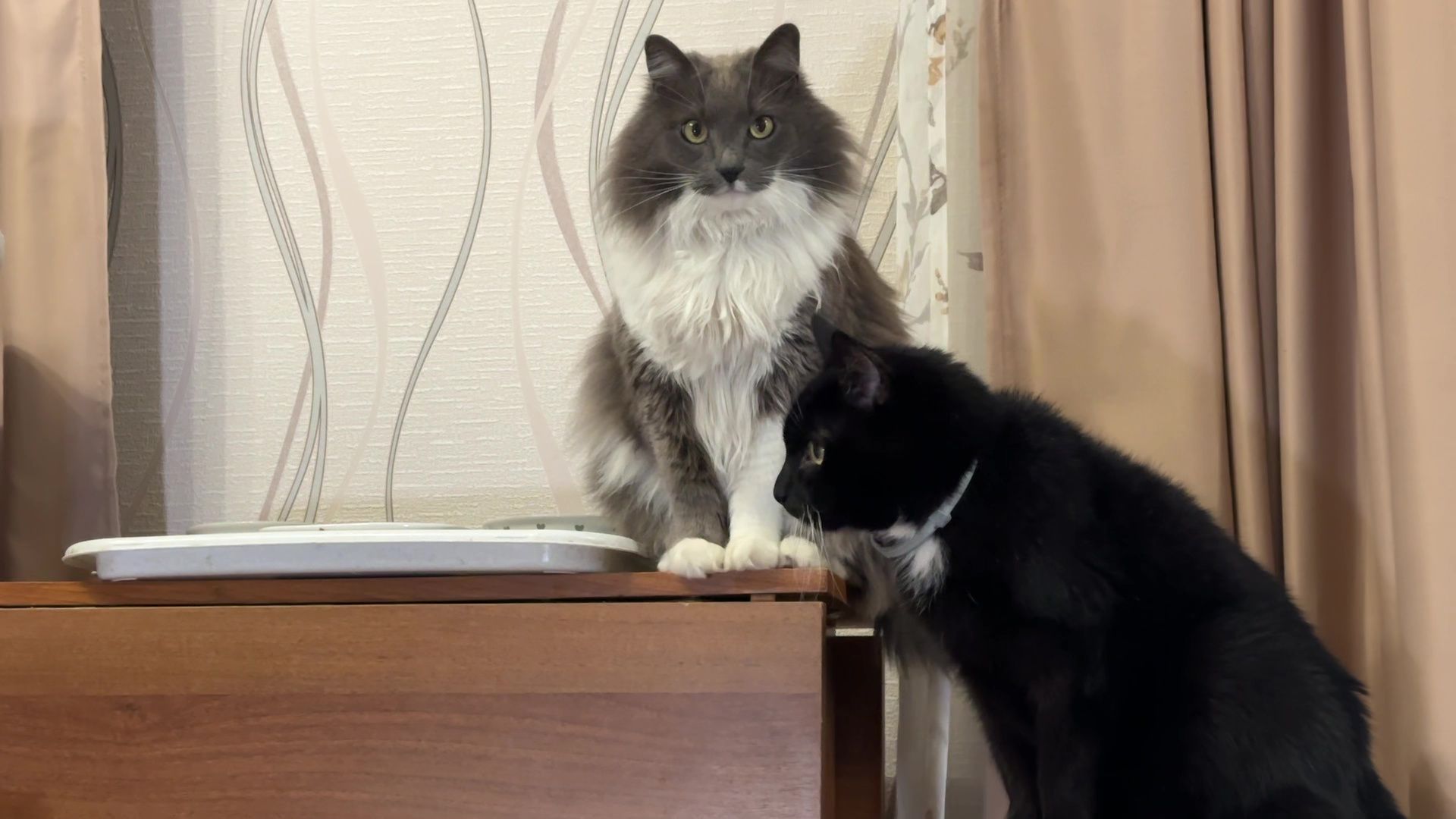 Реутов, медицина, здравоохранение, врачи, династия, семья,