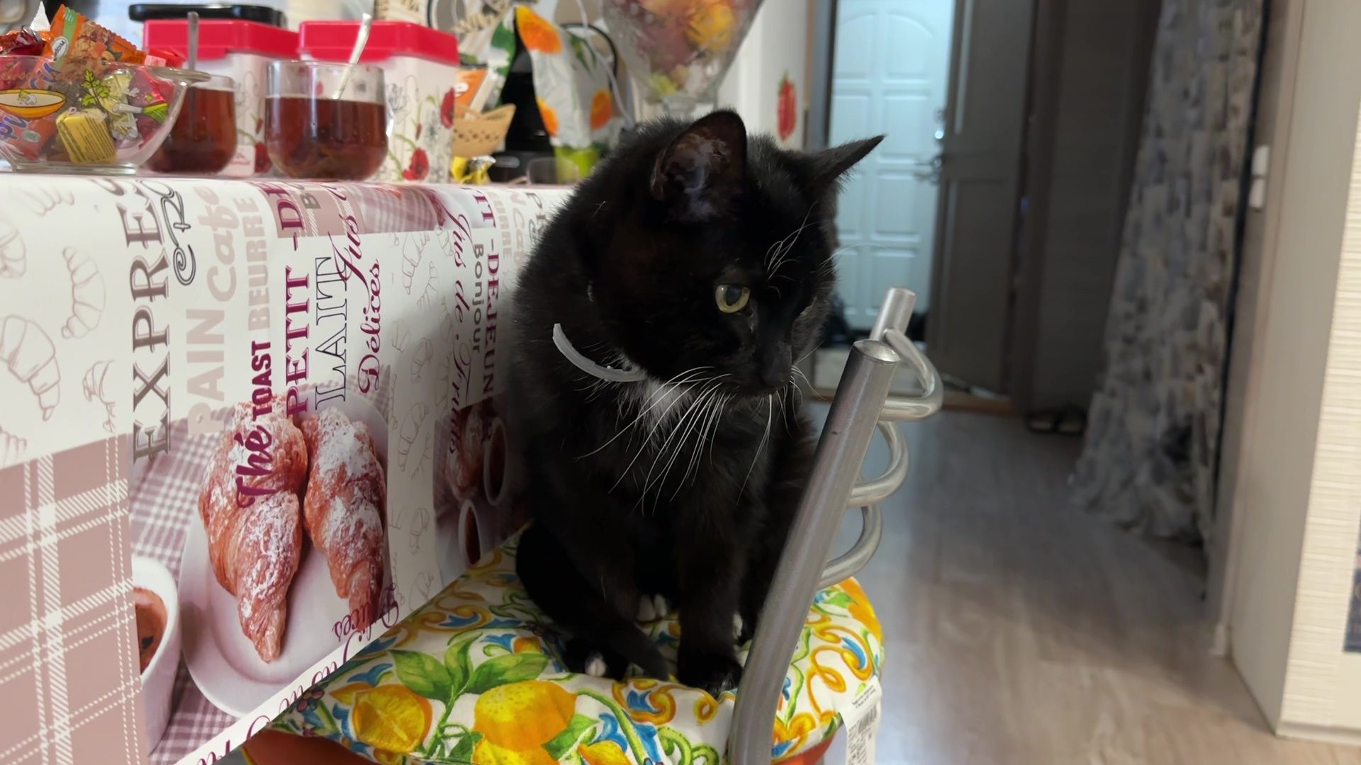 Реутов, медицина, здравоохранение, врачи, династия, семья,