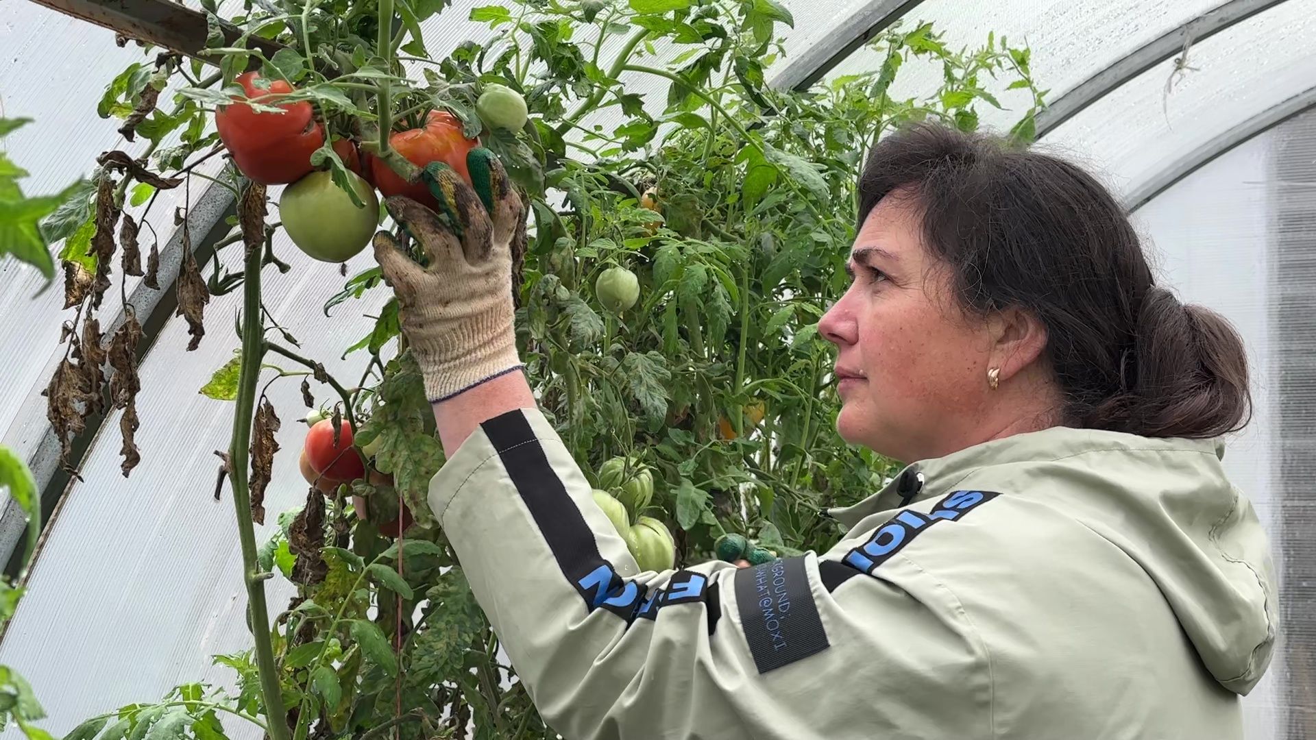 Реутов, медицина, здравоохранение, врачи, династия, семья,